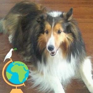 Meet your Posher, Connie